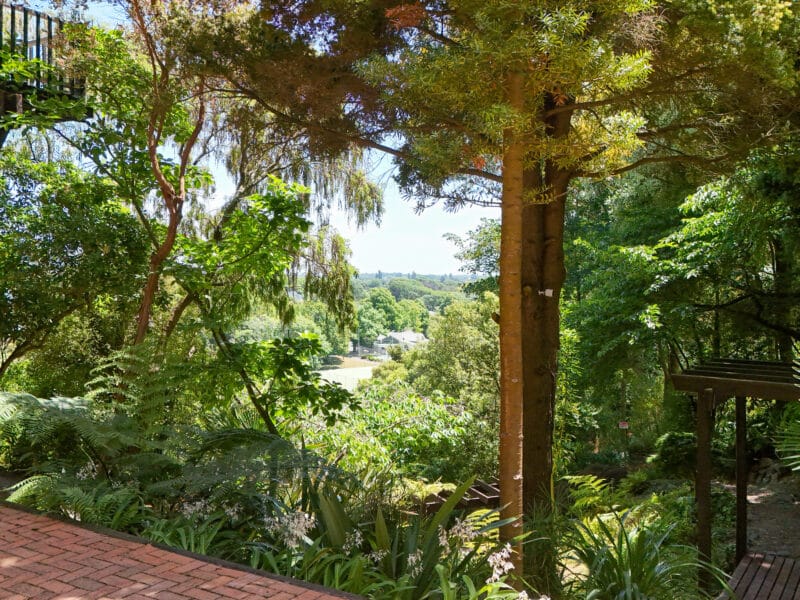 Architectural Oasis | Serenity & Spectacular Views