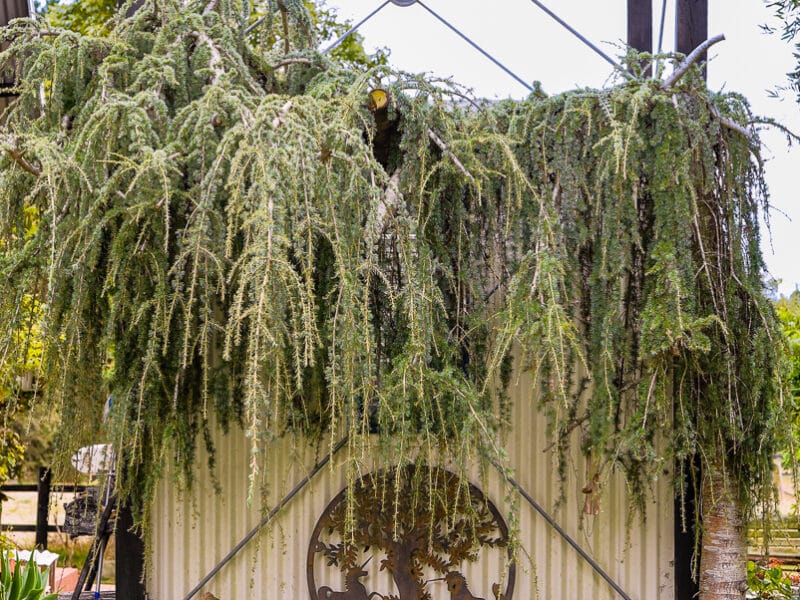 A Tranquil Escape in Te Horo with Hot Tub and breakfast