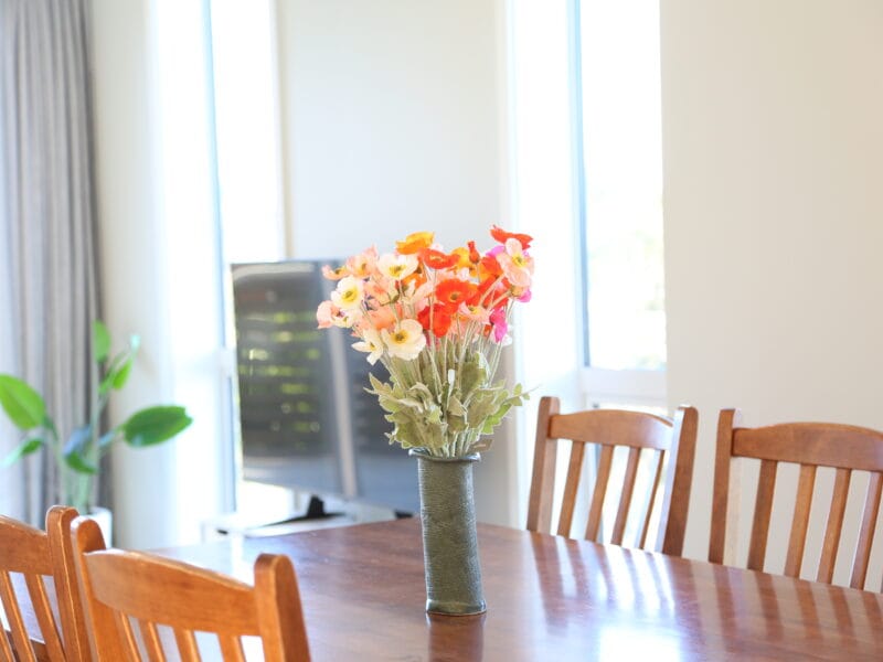 Skyline Vista - Entire New Home with Luxe View