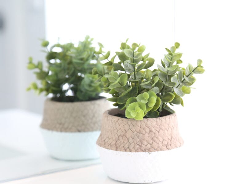 Skyline Vista - Entire New Home with Luxe View