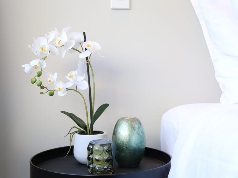 Skyline Vista - Entire New Home with Luxe View