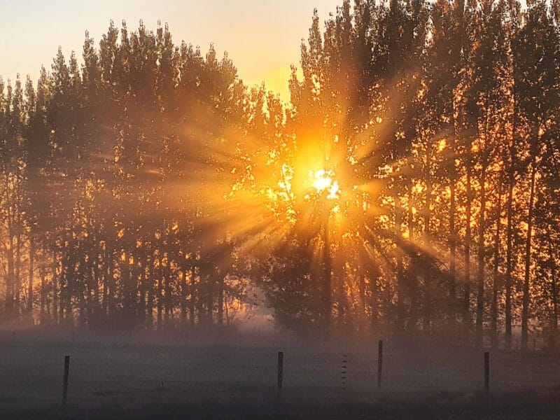 Luxury Private Railway Carriage Experience - It's Not Just Bed & Breakfast!