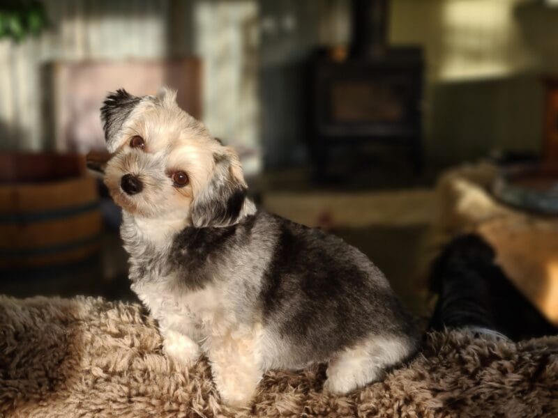 Luxury Private Railway Carriage Experience - It's Not Just Bed & Breakfast!