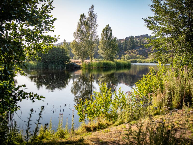 Luxury Private Railway Carriage Experience - It's Not Just Bed & Breakfast!