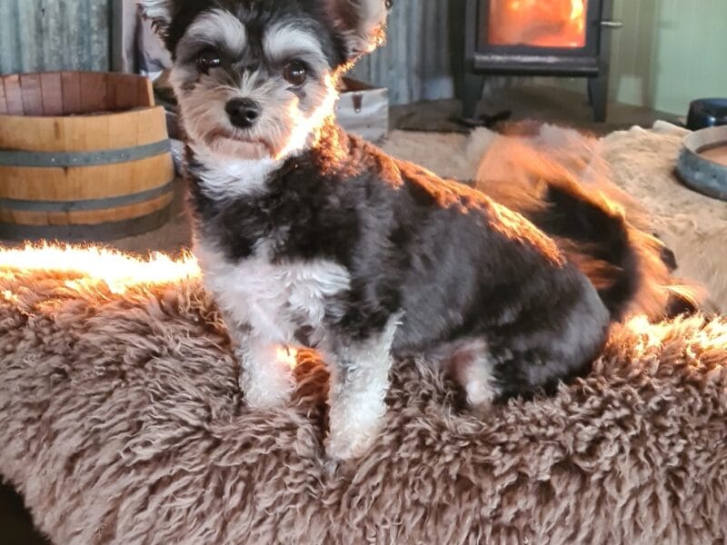 Luxury Private Railway Carriage Experience - It's Not Just Bed & Breakfast!