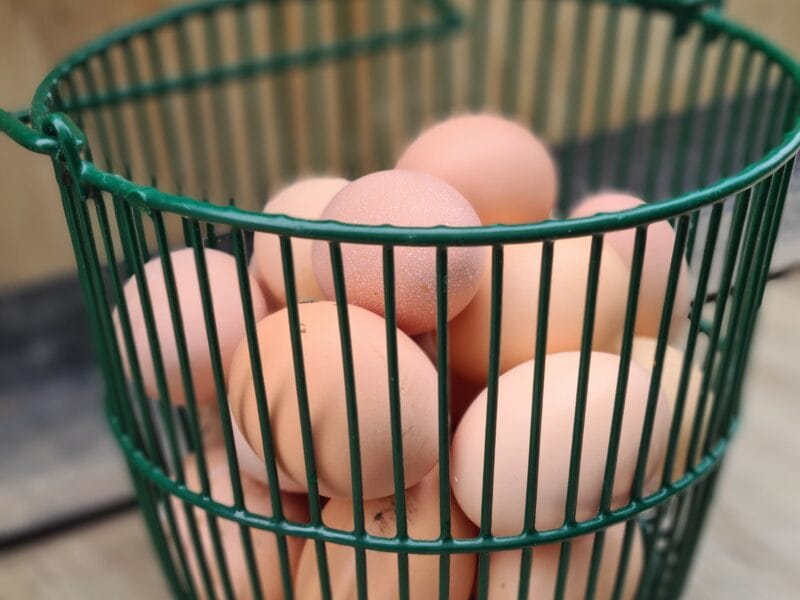 Luxury Private Railway Carriage Experience - It's Not Just Bed & Breakfast!