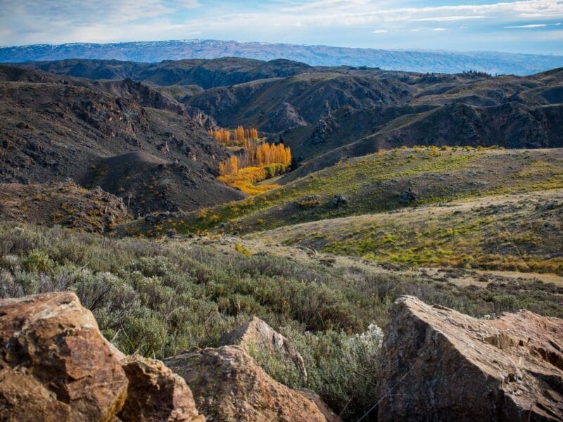 Luxury Private Railway Carriage Experience - It's Not Just Bed & Breakfast!