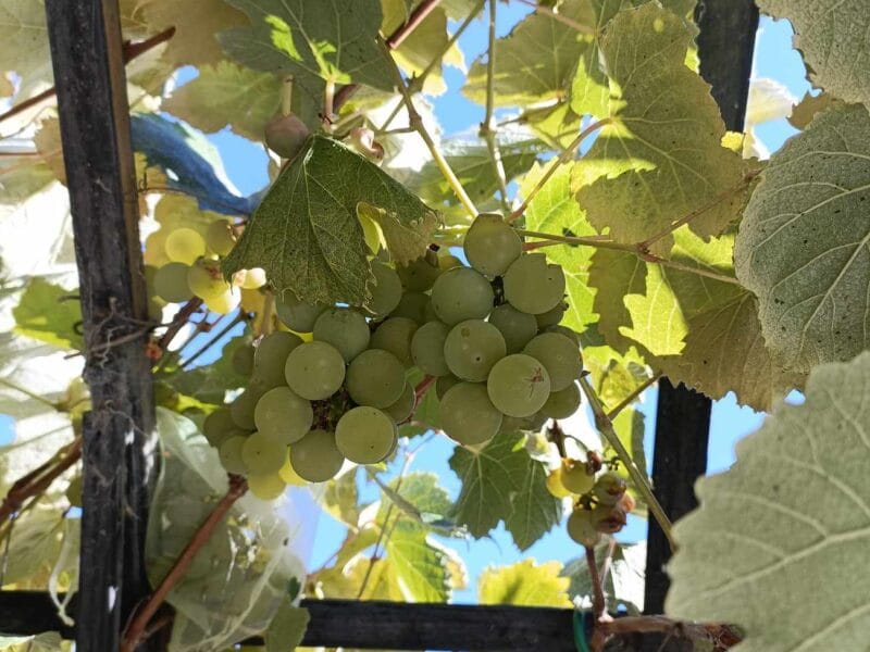 Luxury Private Railway Carriage Experience - It's Not Just Bed & Breakfast!