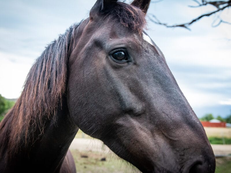 Luxury Private Railway Carriage Experience - It's Not Just Bed & Breakfast!