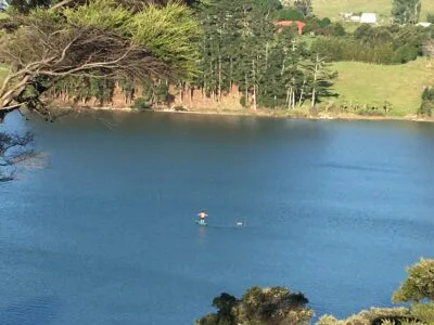 Modern Bach, Supreme Views