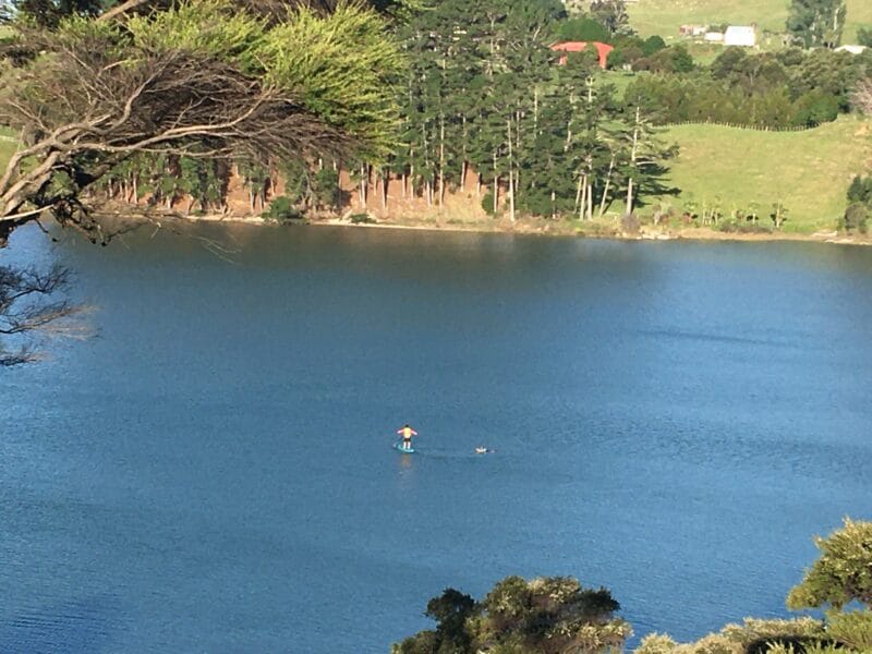 Modern Bach, Supreme Views