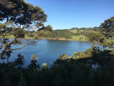 Modern Bach, Supreme Views