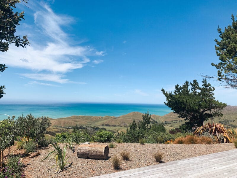 SEASCAPE - The Perfect Hideaway (Central Hawkes Bay)