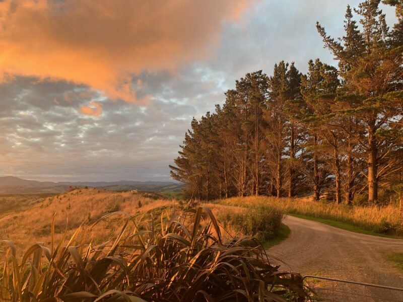 SEASCAPE - The Perfect Hideaway (Central Hawkes Bay)