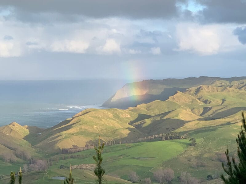 SEASCAPE - The Perfect Hideaway (Central Hawkes Bay)