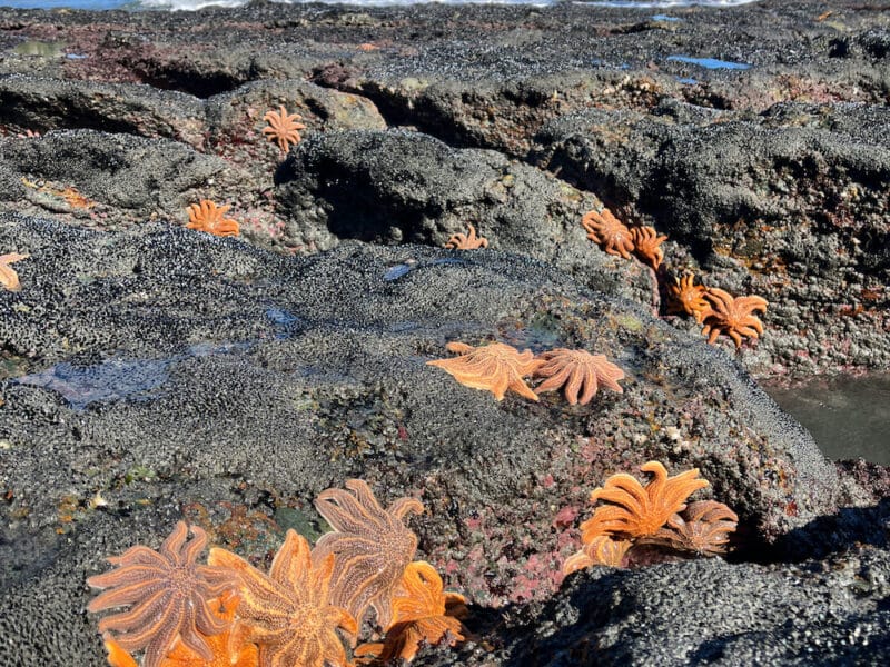 View With A Room - Private Boutique Beach Suite