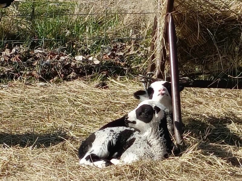Luxury Private Railway Carriage Experience - It's Not Just Bed & Breakfast!