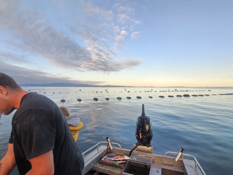 WAIKAWAU RETREAT -Thames Coast seaviews.