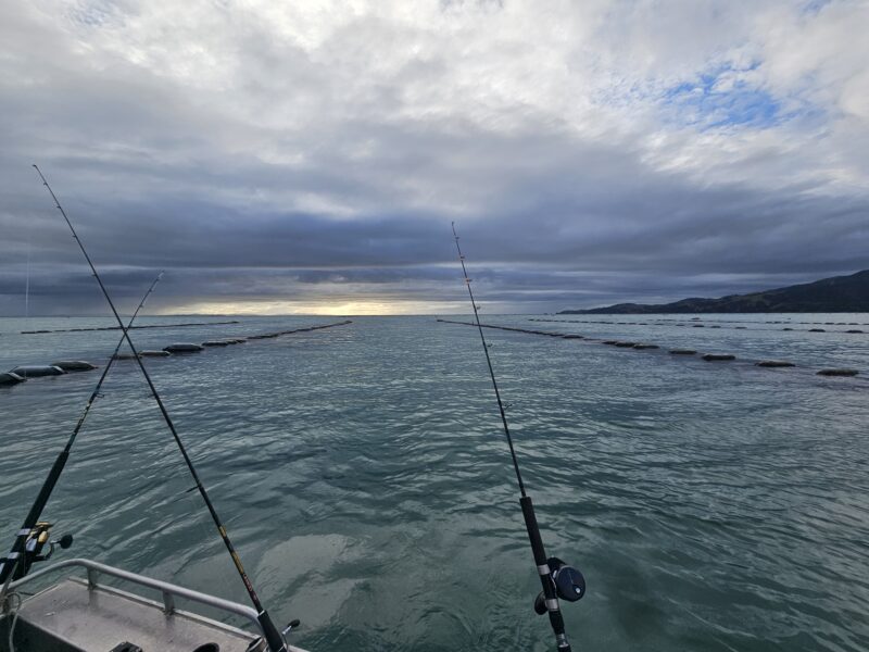 WAIKAWAU RETREAT -Thames Coast seaviews.