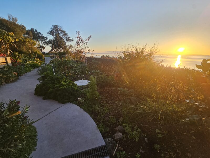 WAIKAWAU RETREAT -Thames Coast seaviews.