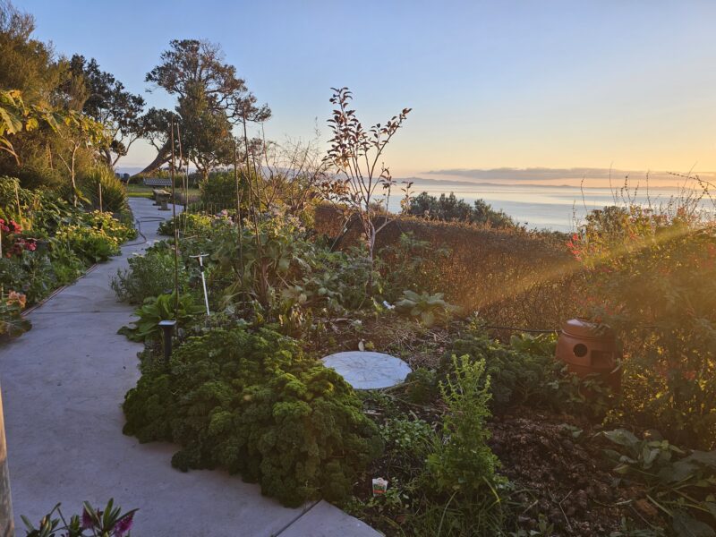 WAIKAWAU RETREAT -Thames Coast seaviews.