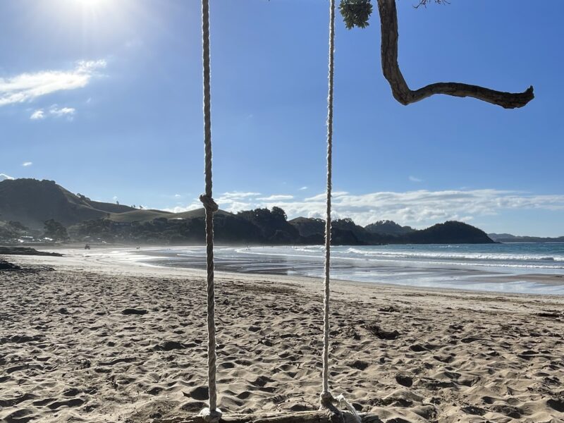 Ocean Vista Modern Eco Pods Tutukaka Coast