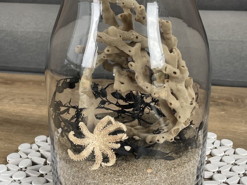 Ocean Vista Modern Eco Pods Tutukaka Coast