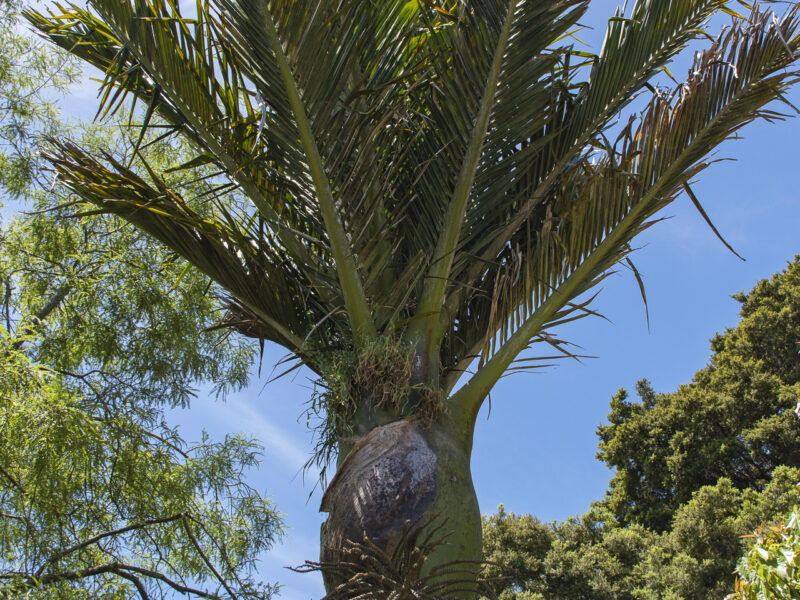 Streamside chalet in Golden Bay