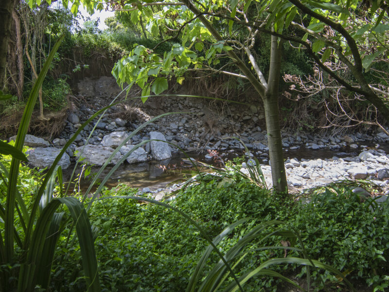 Streamside chalet in Golden Bay