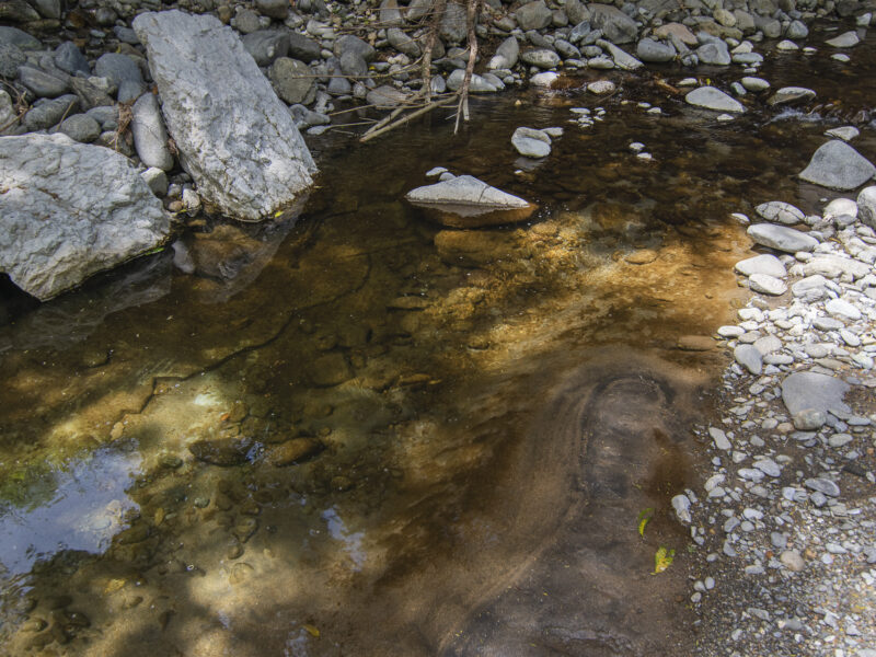 Streamside chalet in Golden Bay