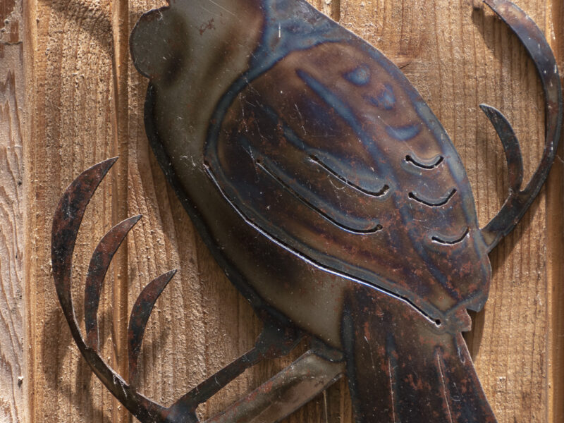 Streamside chalet in Golden Bay