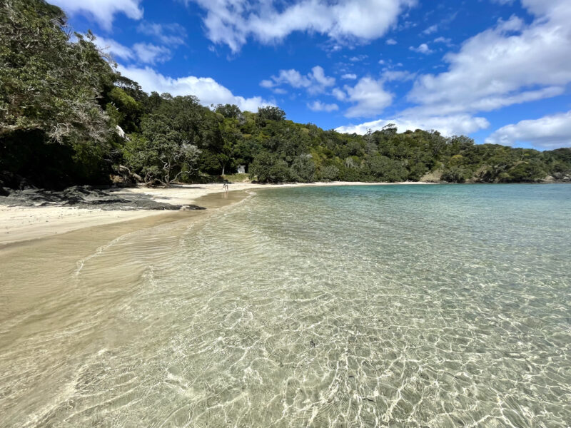Ocean Vista Modern Eco Pods Tutukaka Coast
