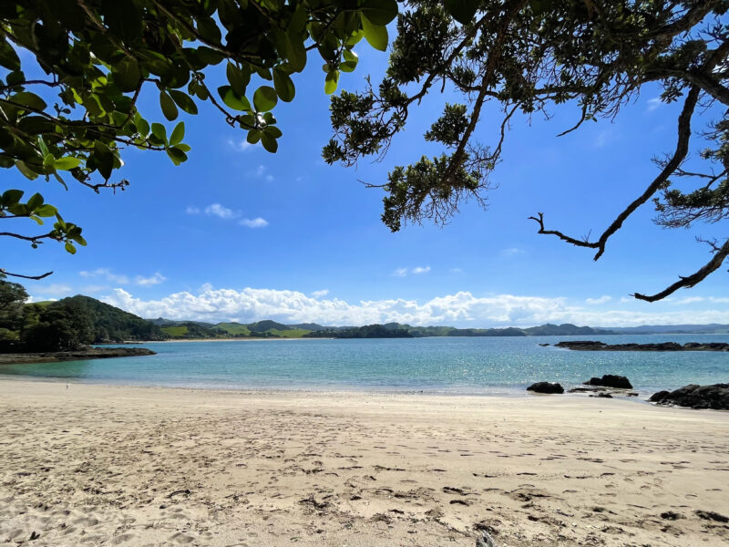 Ocean Vista Modern Eco Pods Tutukaka Coast