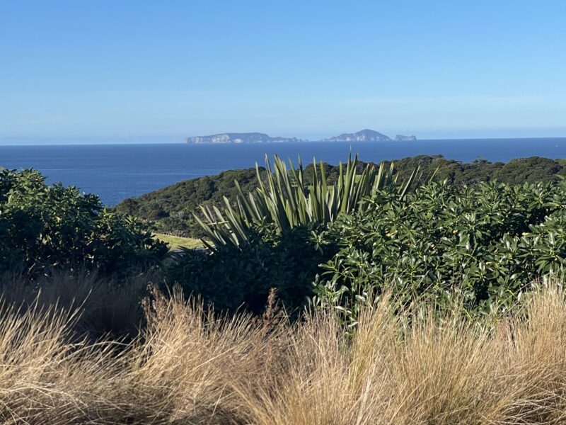 Ocean Vista Modern Eco Pods Tutukaka Coast