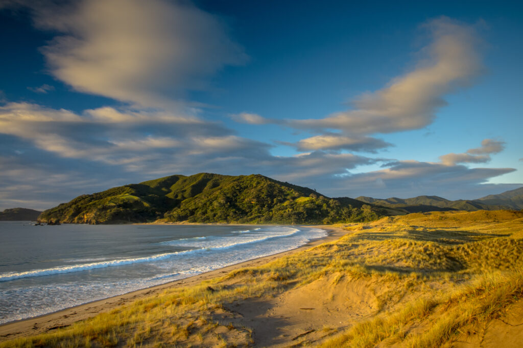 Golden sand dunes and forested hills at sunrise on New Zealand’s North Island coast