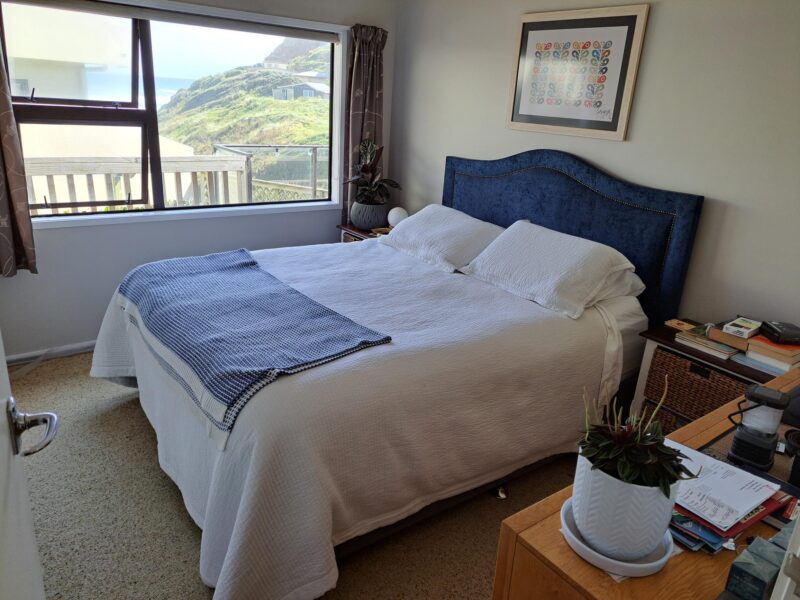 Best view of the Tasman