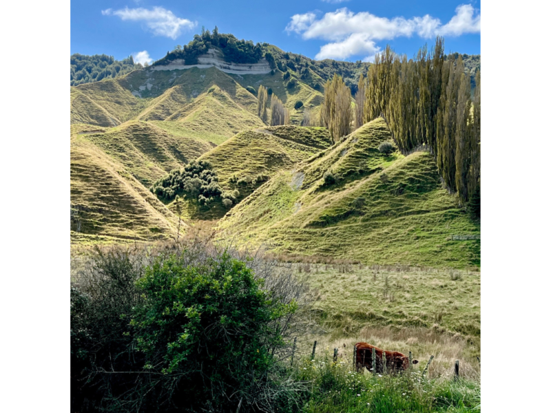 The Old Eltham Post Office Luxury B & B