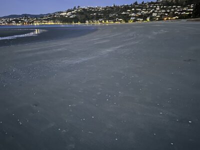 Nelson Seaside Luxury Getaway