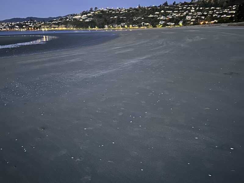 Nelson Seaside Luxury Getaway