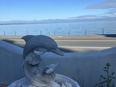 Nelson Seaside Luxury Getaway