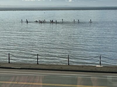 Nelson Seaside Luxury Getaway