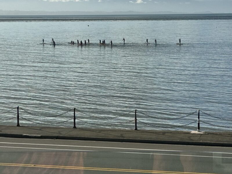 Nelson Seaside Luxury Getaway