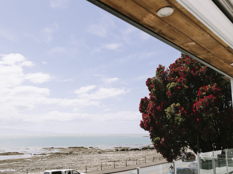 Nelson Beachfront Luxury Apartment