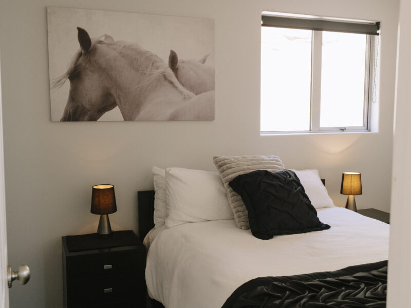 Nelson Beachfront Luxury Apartment