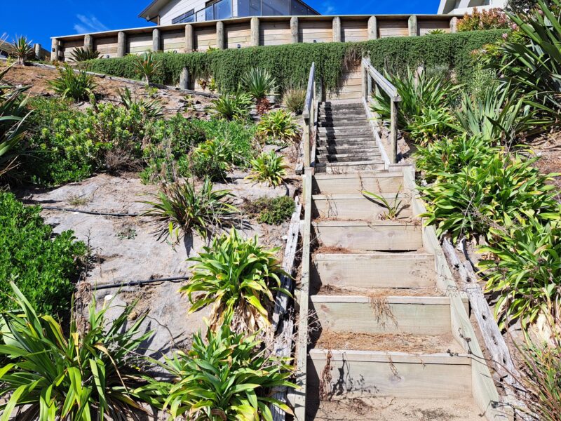 Best view of the Tasman