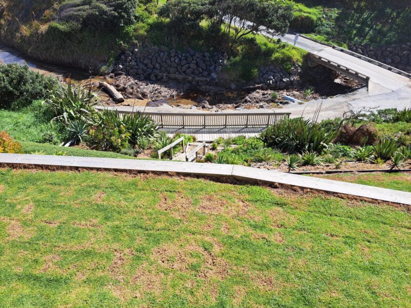 Best view of the Tasman