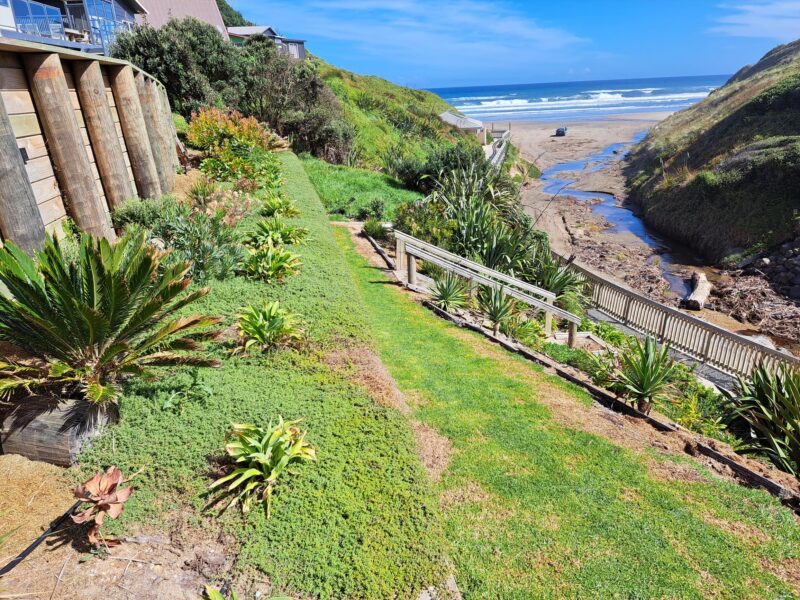 Best view of the Tasman