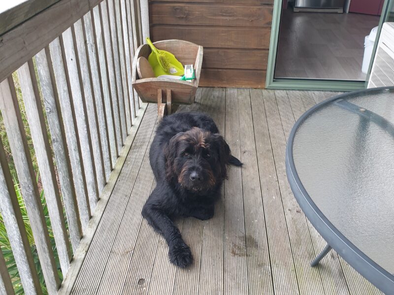 Tree Tops stunning water & Reserve Views