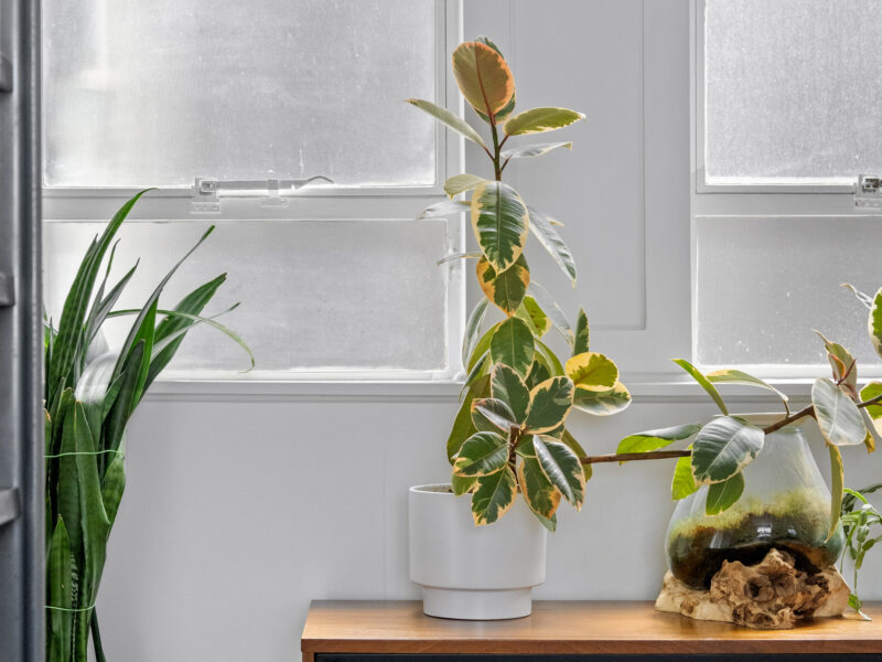 NY Style 3 Bed Character Apartment in Auckland CBD