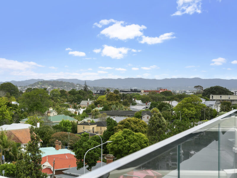 Enfield Sky- Brand New Penthouse